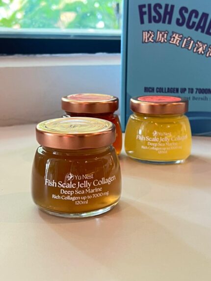 Fish Scale Jelly Collagen - Longan & Red Date 桂圆红枣