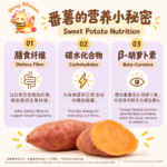 MarvelDelights 即食烤番薯｜Ready-to-eat Baked Sweet Potato - Image 4